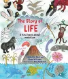 The Story of Life cover