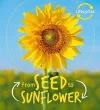 Lifecycles: Seed to Sunflower cover