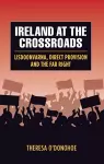 Ireland at the Crossroads cover