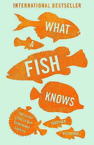 What a Fish Knows cover