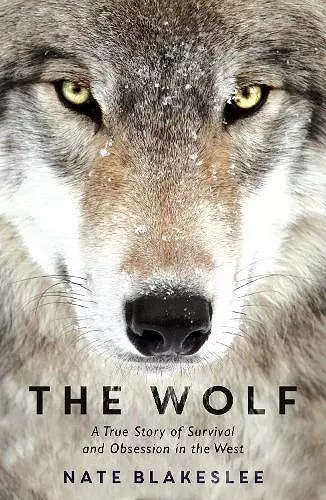 The Wolf cover