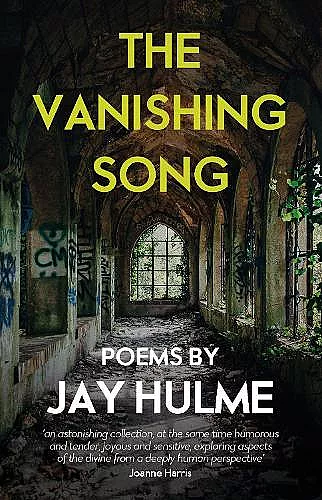 The Vanishing Song cover