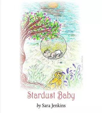 Stardust Baby cover