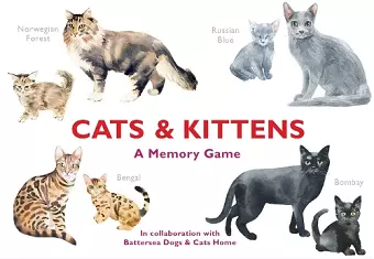 Cats & Kittens cover