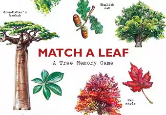 Match a Leaf cover