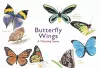 Butterfly Wings cover