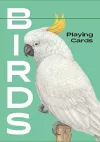 Birds cover