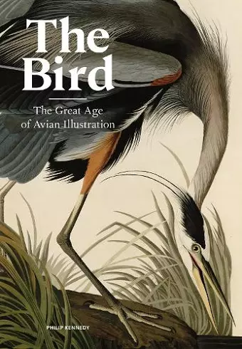 The Bird cover