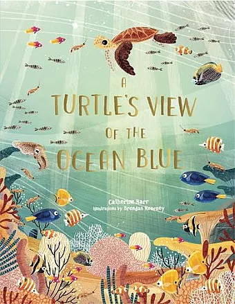 A Turtle's View of the Ocean Blue cover