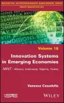 Innovation Systems in Emerging Economies cover