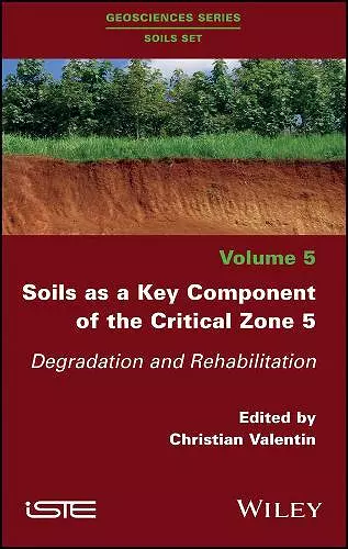 Soils as a Key Component of the Critical Zone 5 cover