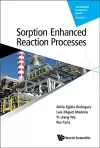 Sorption Enhanced Reaction Processes cover