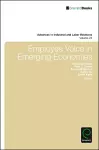 Employee Voice in Emerging Economies cover