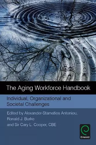 The Aging Workforce Handbook cover