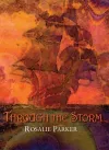Through the Storm cover