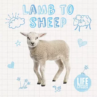 Lamb to Sheep cover