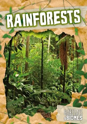 Rainforests cover