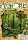 Rainforests cover