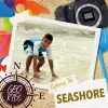 Exploring the Seashore cover