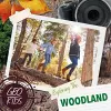 Exploring the Woodland cover