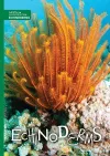 Echinoderms cover