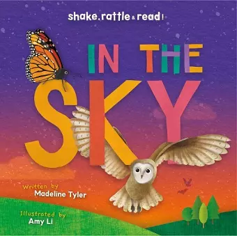 In the Sky cover