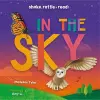 In the Sky cover