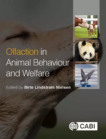 Olfaction in Animal Behaviour and Welfare cover
