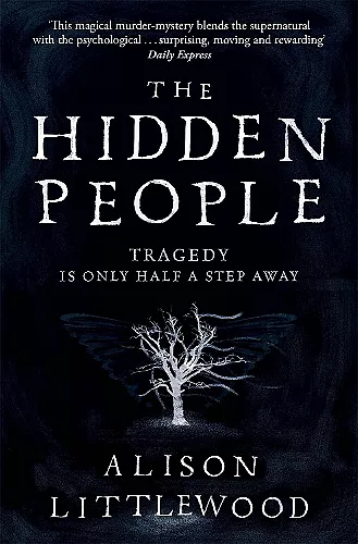 The Hidden People cover