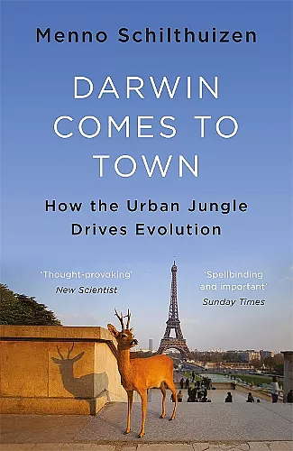 Darwin Comes to Town cover