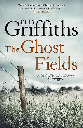 The Ghost Fields cover