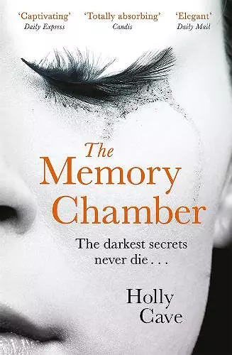 The Memory Chamber cover