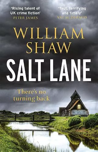 Salt Lane cover