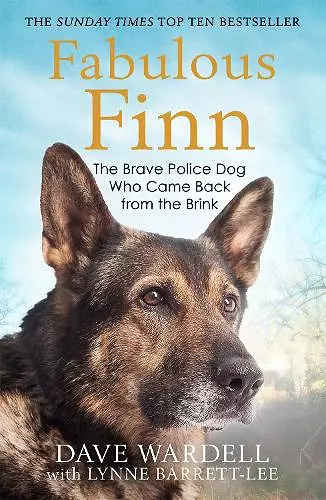Fabulous Finn cover