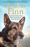 Fabulous Finn cover