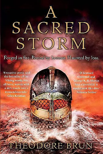 A Sacred Storm cover
