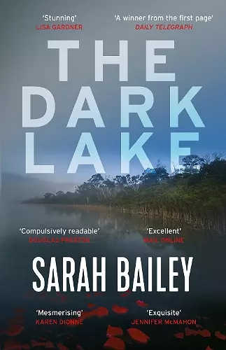 The Dark Lake cover