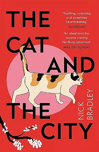 The Cat and The City cover