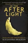 A Darkest Minds Novel: In the Afterlight cover