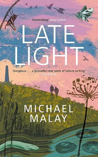 Late Light cover