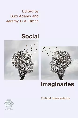 Social Imaginaries cover