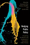 Nudging Public Policy cover