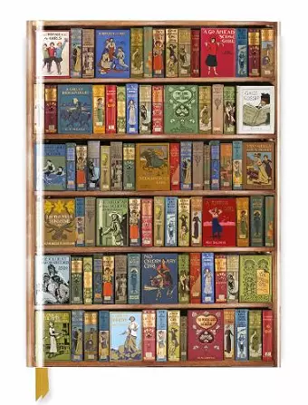 Bodleian Library: High Jinks Bookshelves (Blank Sketch Book) cover