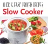 Slow Cooker cover