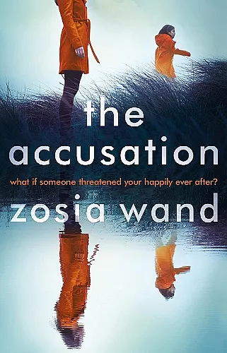 The Accusation cover