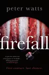 Firefall cover