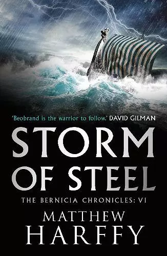 Storm of Steel cover