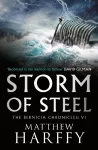 Storm of Steel cover