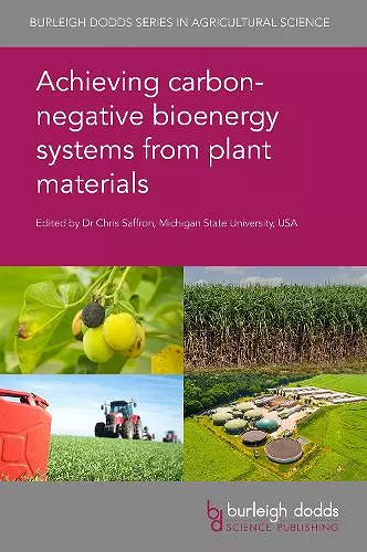 Achieving Carbon-Negative Bioenergy Systems from Plant Materials cover