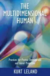 The Multidimensional Human cover
